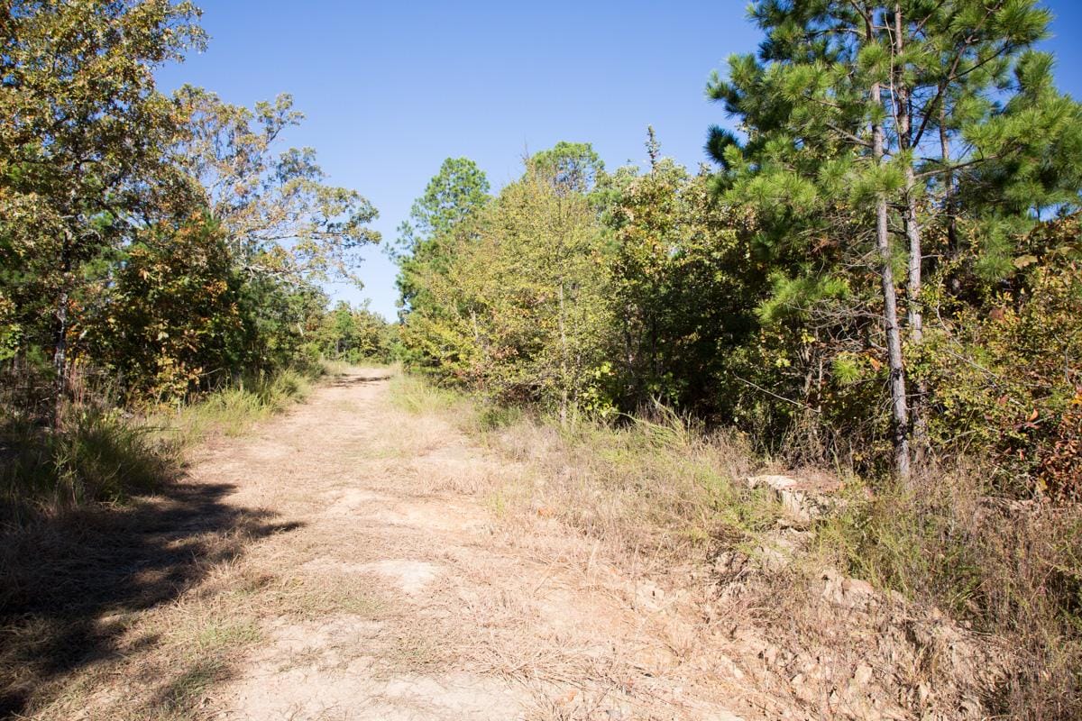 Stone Creek Phase I Tract 155 photo 6