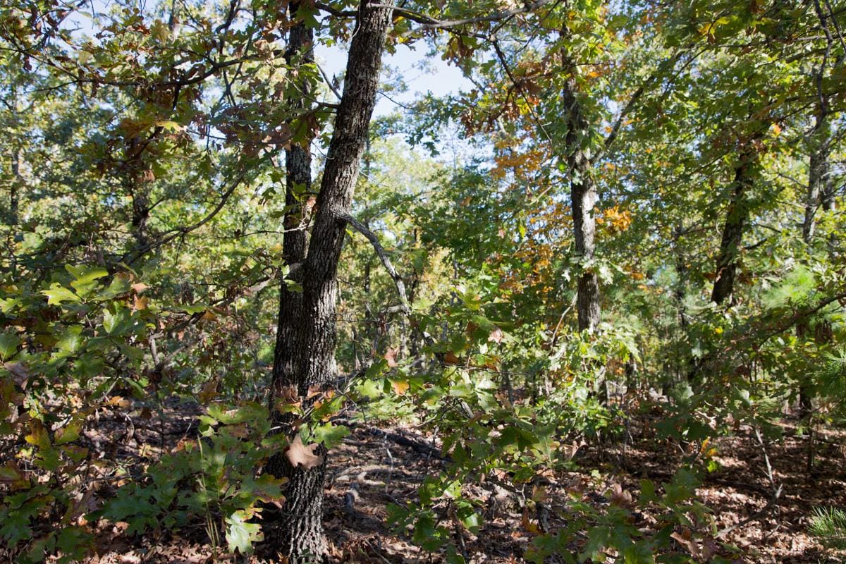 Stone Creek Phase I Tract 155 photo 7