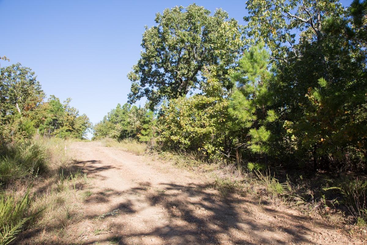 Stone Creek Phase I Tract 155 photo 8