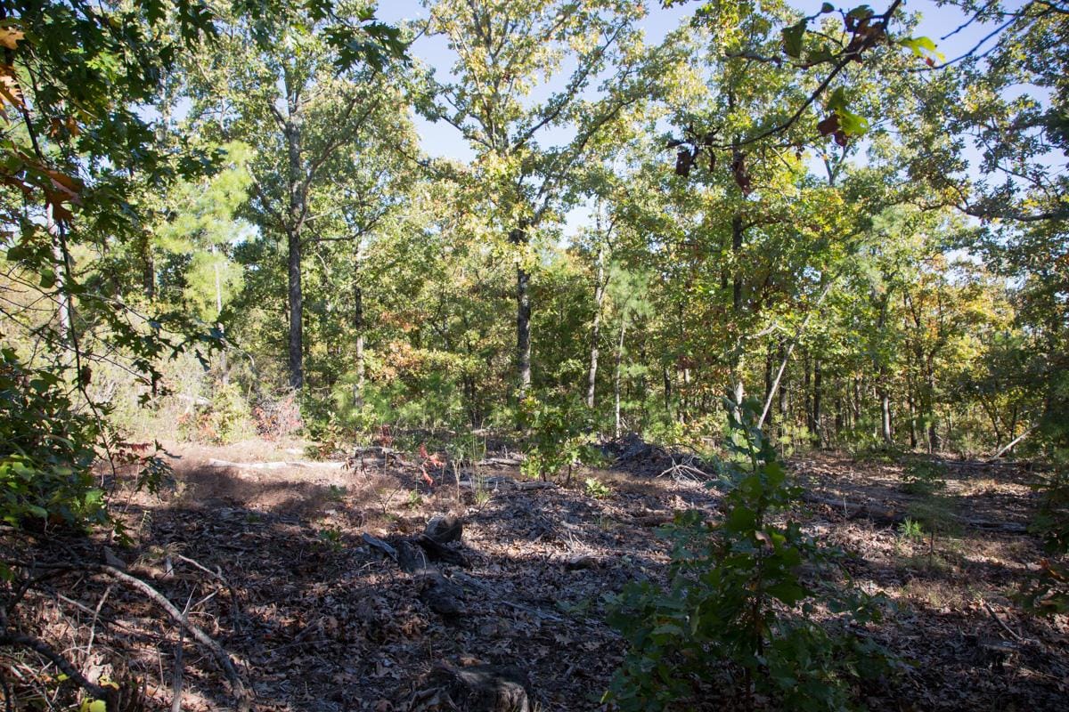 Stone Creek Phase I Tract 155 photo 11