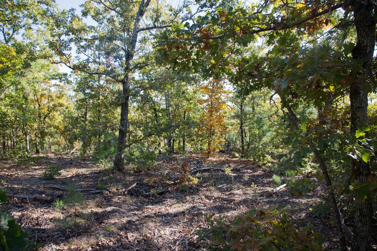 Stone Creek Phase I Tract 155 photo 12