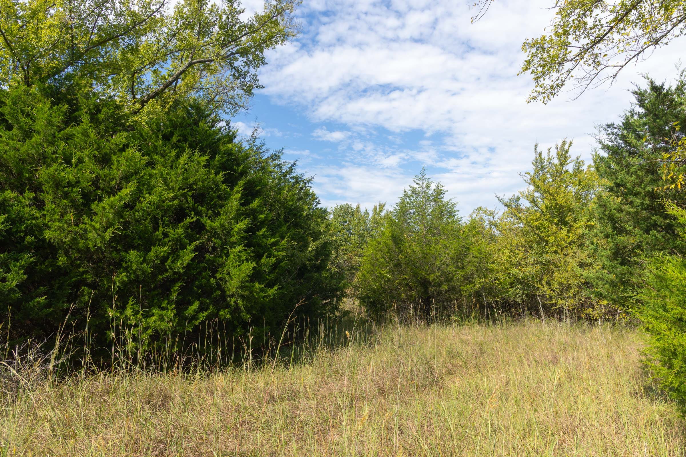 Reserves At Cattail Cove Phase II Tract 95 photo 18