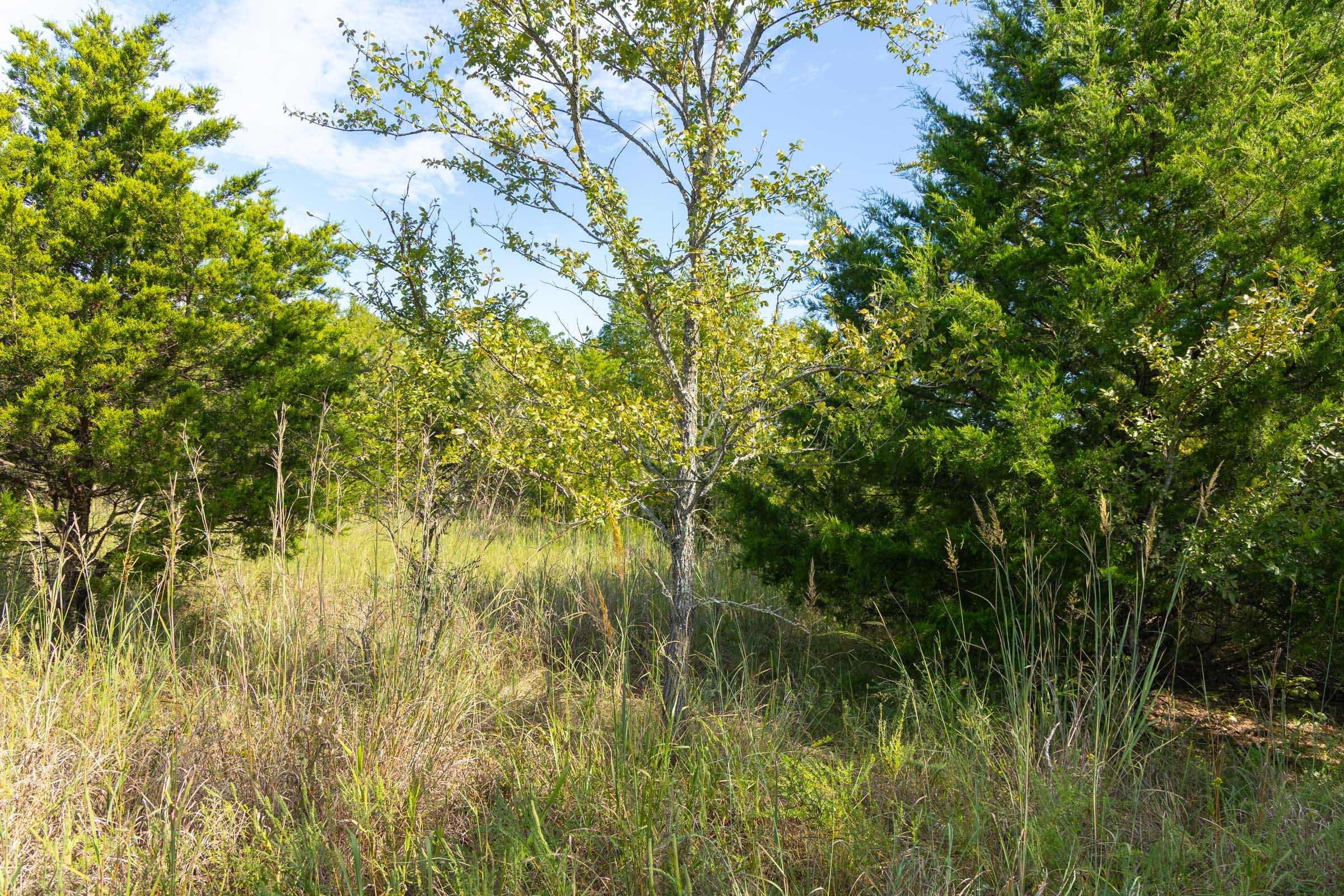 Reserves At Cattail Cove Phase II Tract 95 photo 17