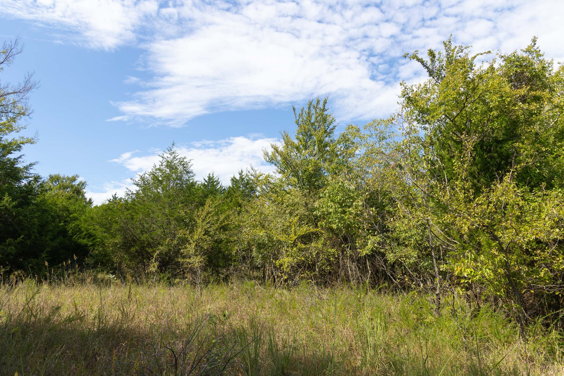 Reserves At Cattail Cove Phase II Tract 95 photo 16