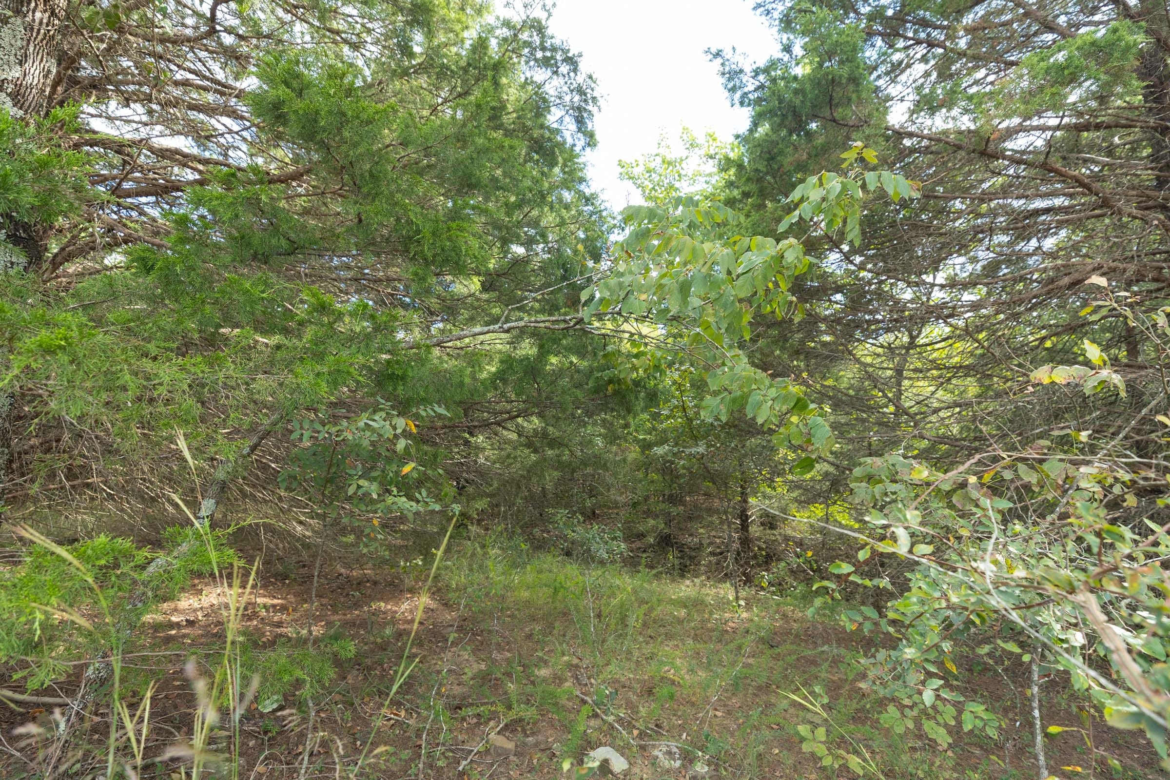 Reserves At Cattail Cove Phase II Tract 95 photo 15
