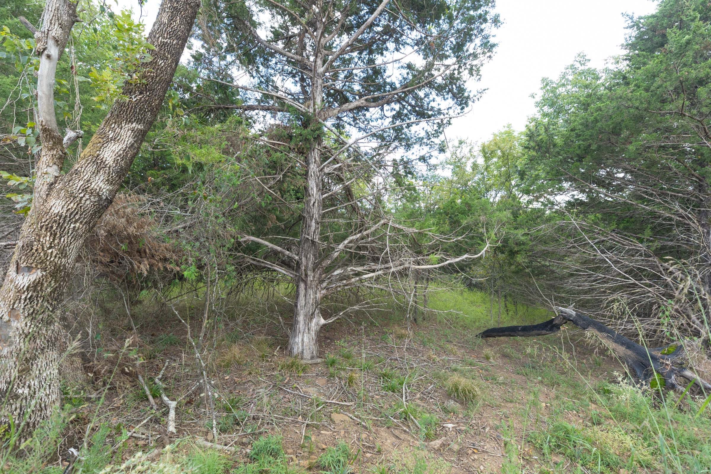 Reserves At Cattail Cove Phase II Tract 95 photo 14