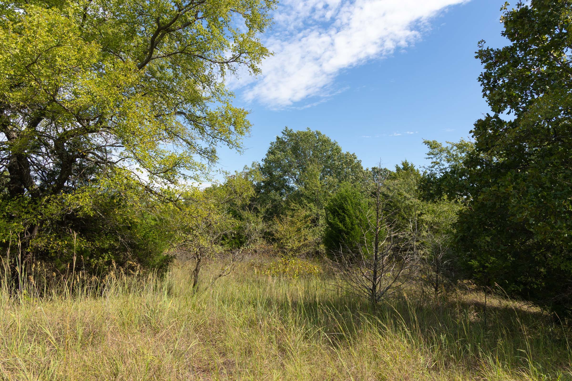 Reserves At Cattail Cove Phase II Tract 95 photo 13