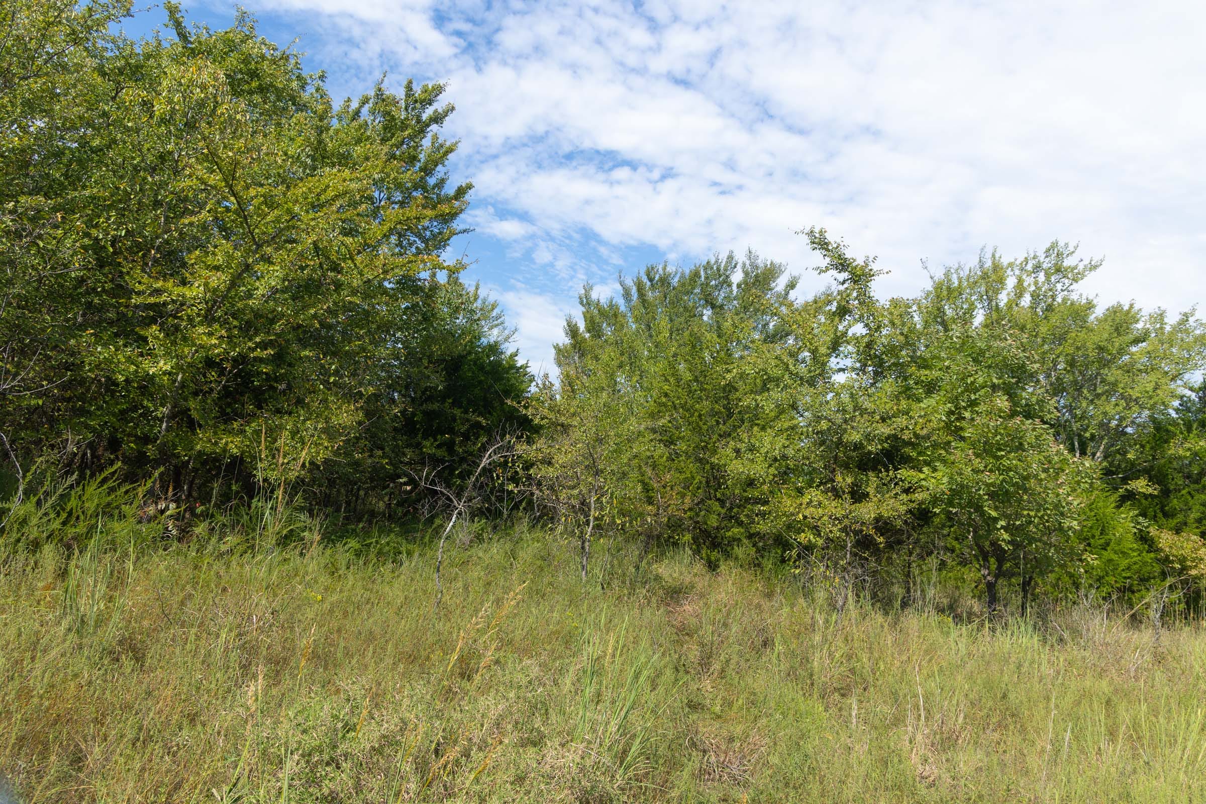 Reserves At Cattail Cove Phase II Tract 95 photo 12