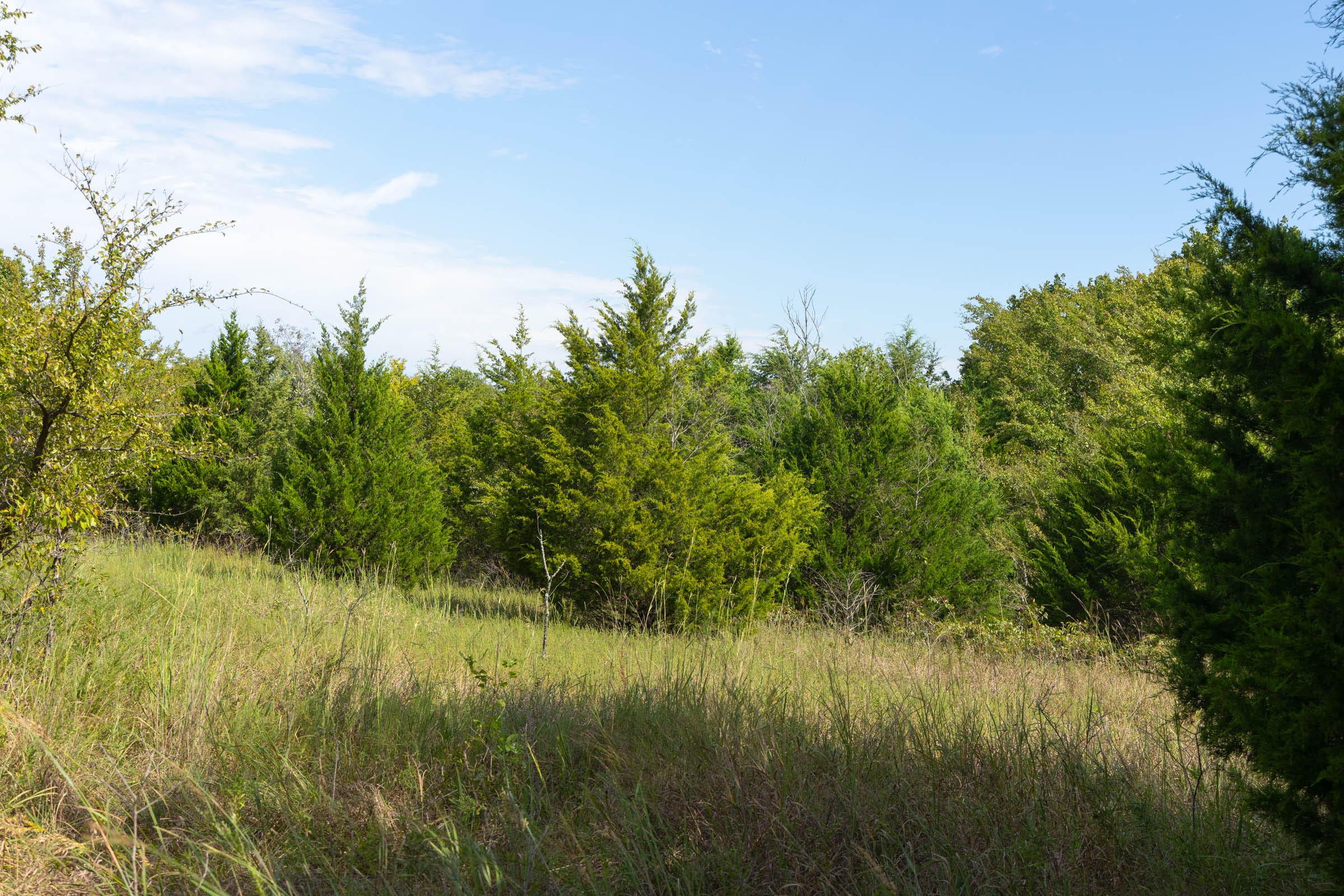 Reserves At Cattail Cove Phase II Tract 95 photo 11