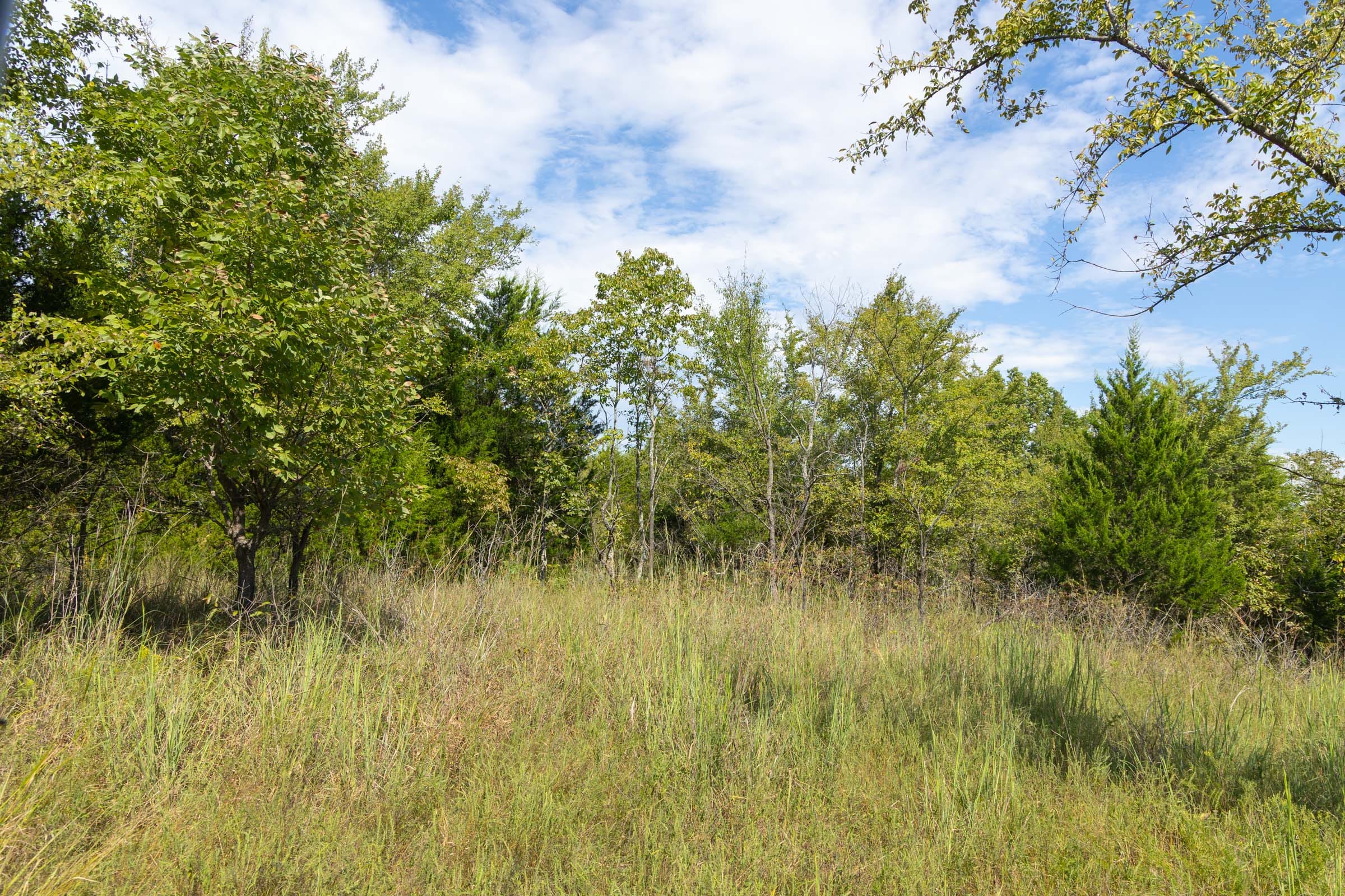 Reserves At Cattail Cove Phase II Tract 95 photo 10