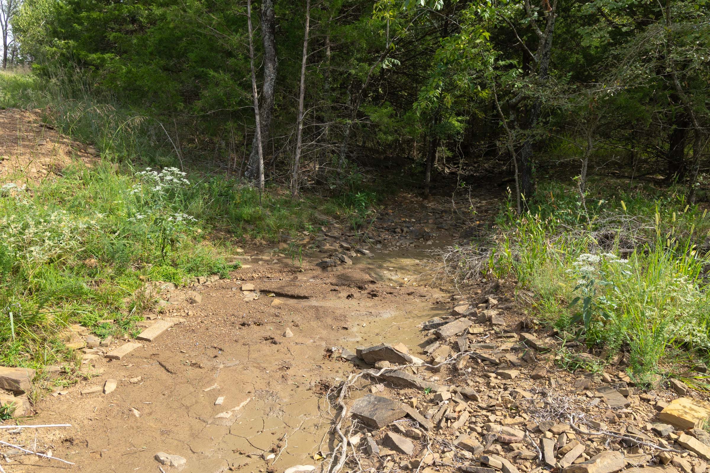 Reserves At Cattail Cove Phase II Tract 95 photo 9