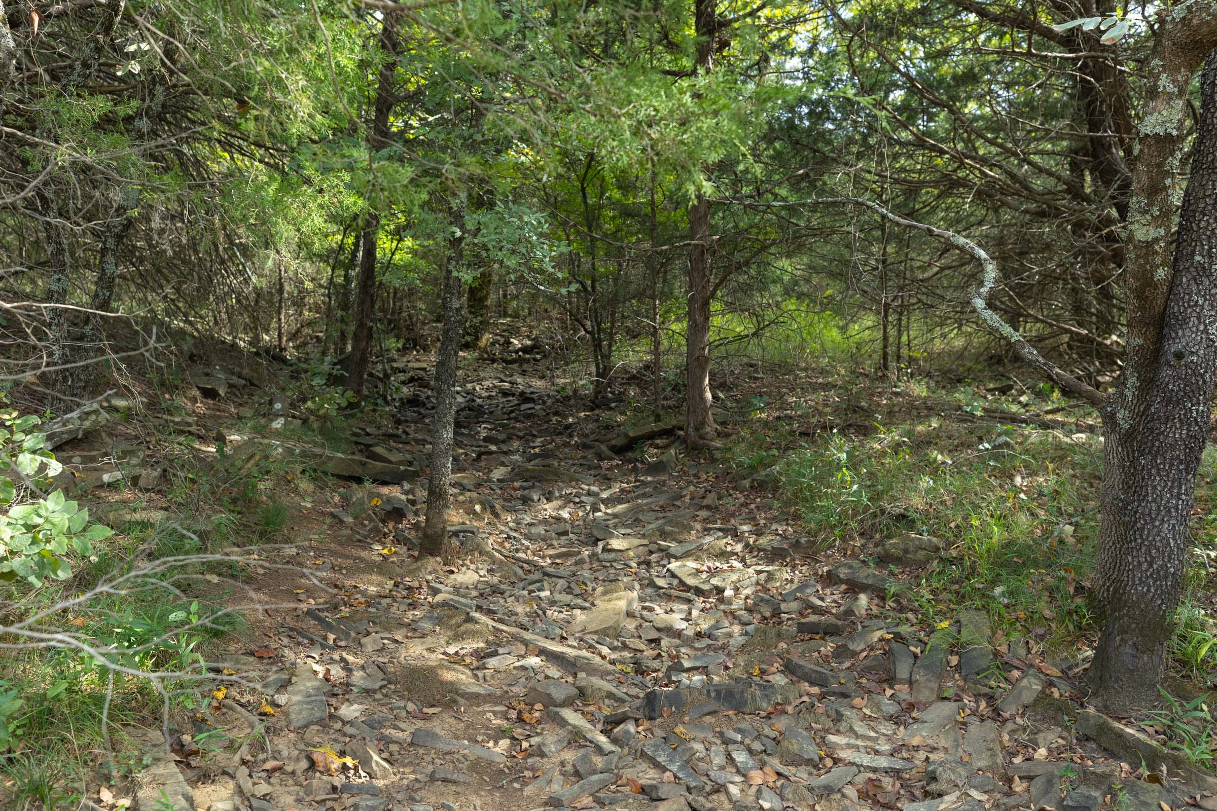 Reserves At Cattail Cove Phase II Tract 95 photo 8