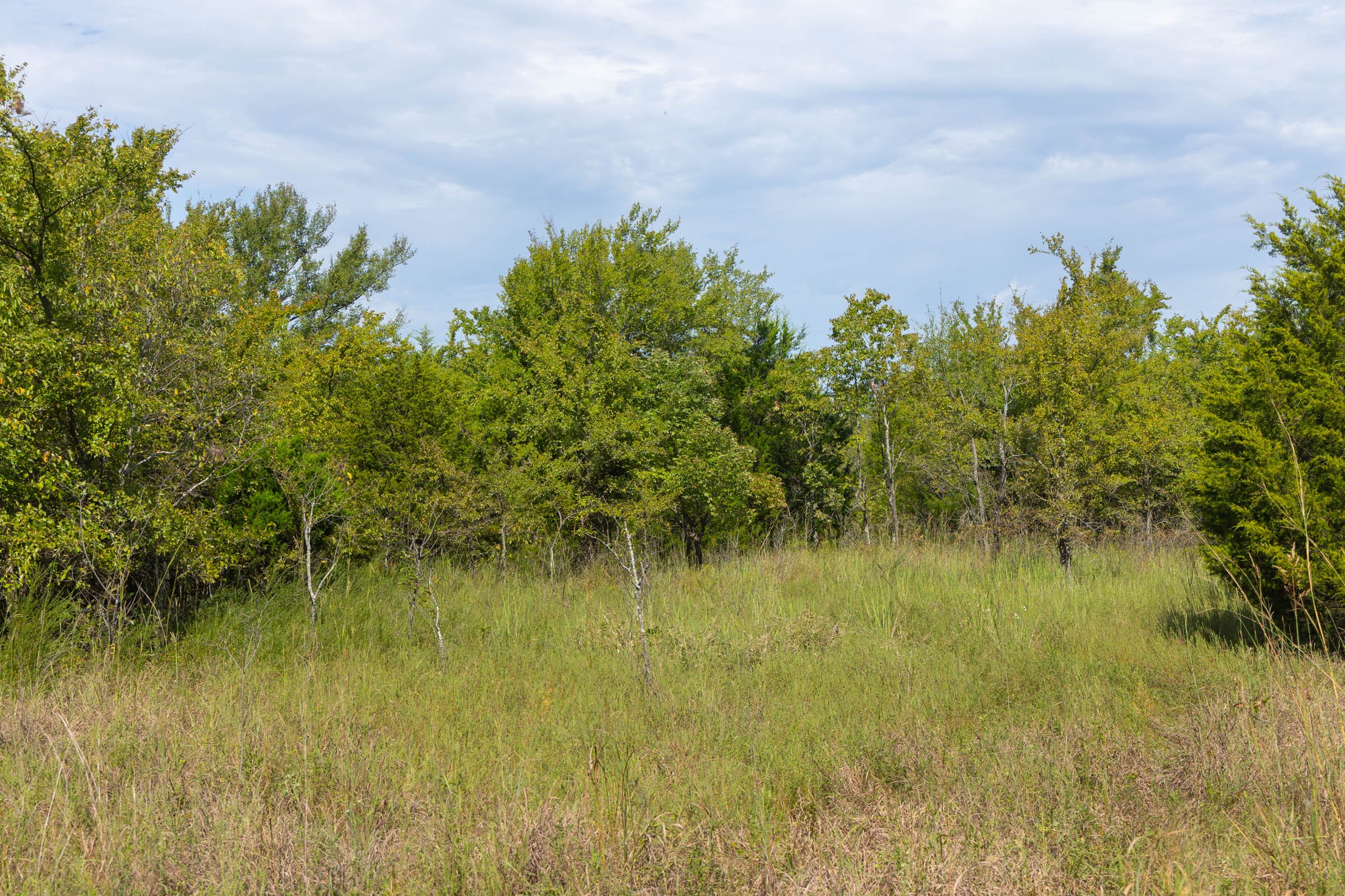 Reserves At Cattail Cove Phase II Tract 95 photo 7