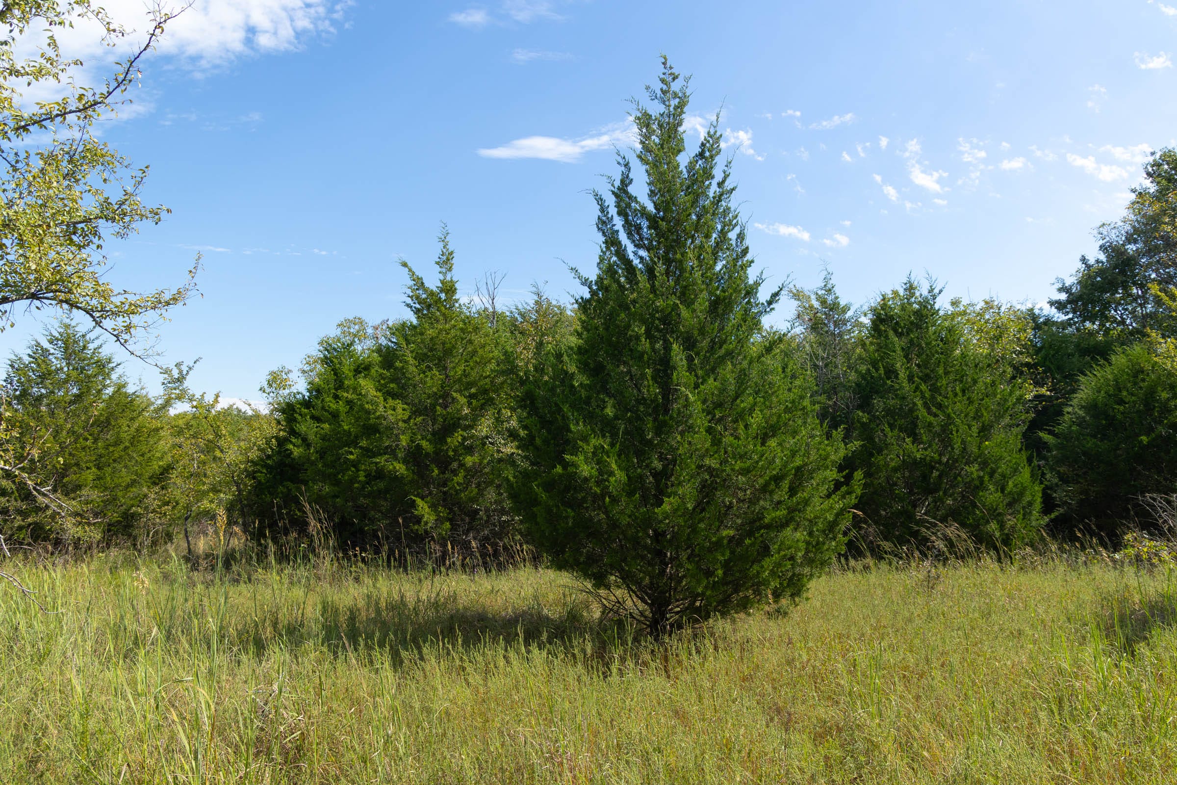 Reserves At Cattail Cove Phase II Tract 95 photo 6