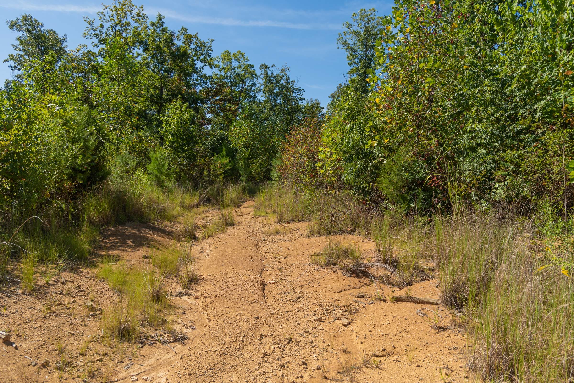Big White Oak Tract 104 photo 7