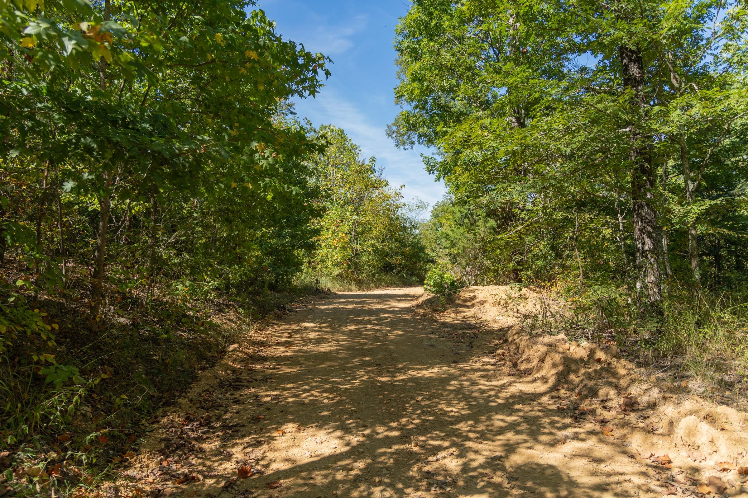 Big White Oak Tract 104 photo 1