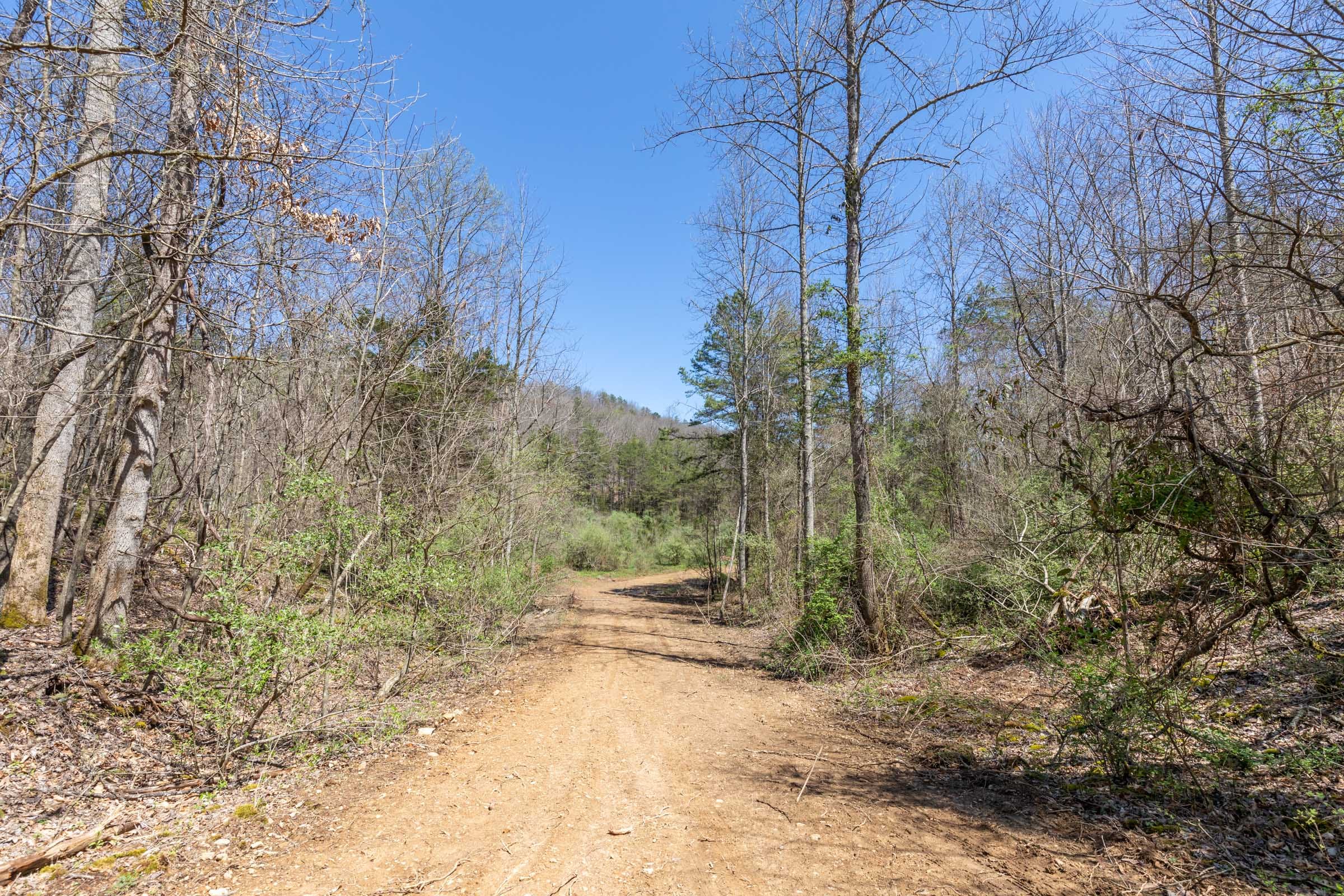 Woodland Heights Tract 10 photo 1