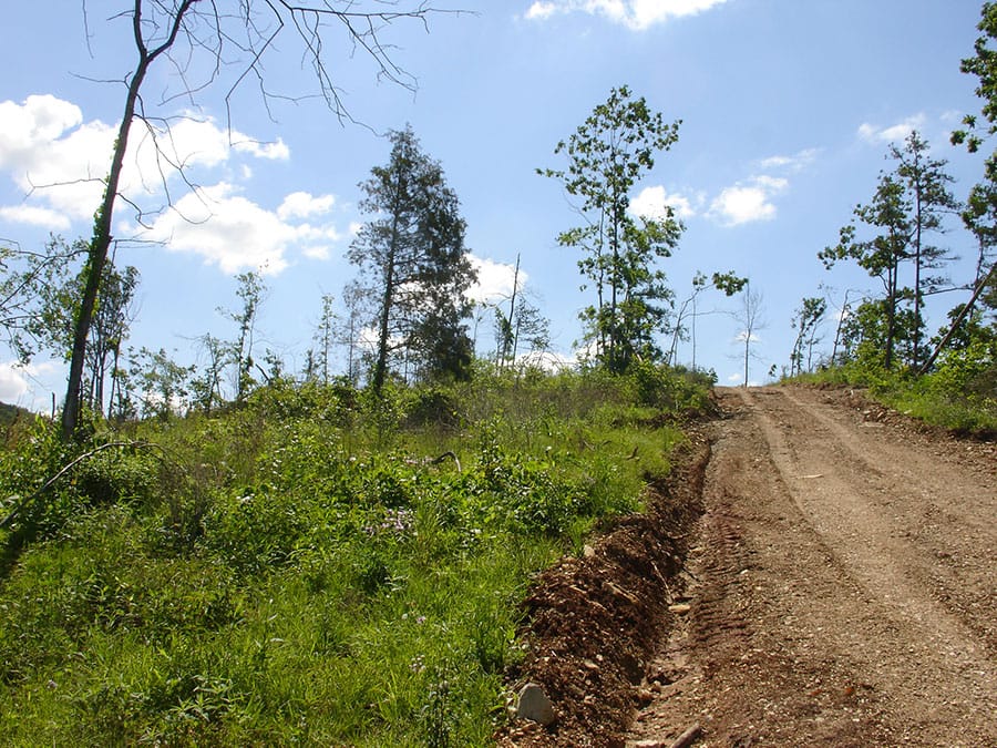 Antler Ridge Tract 4 photo 1