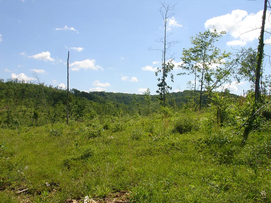Antler Ridge Tract 4 photo 2