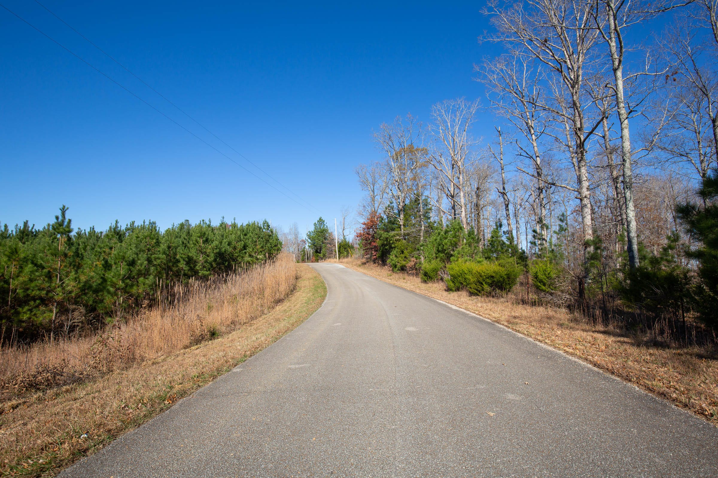 Pine Ridge Tract 3 photo 1