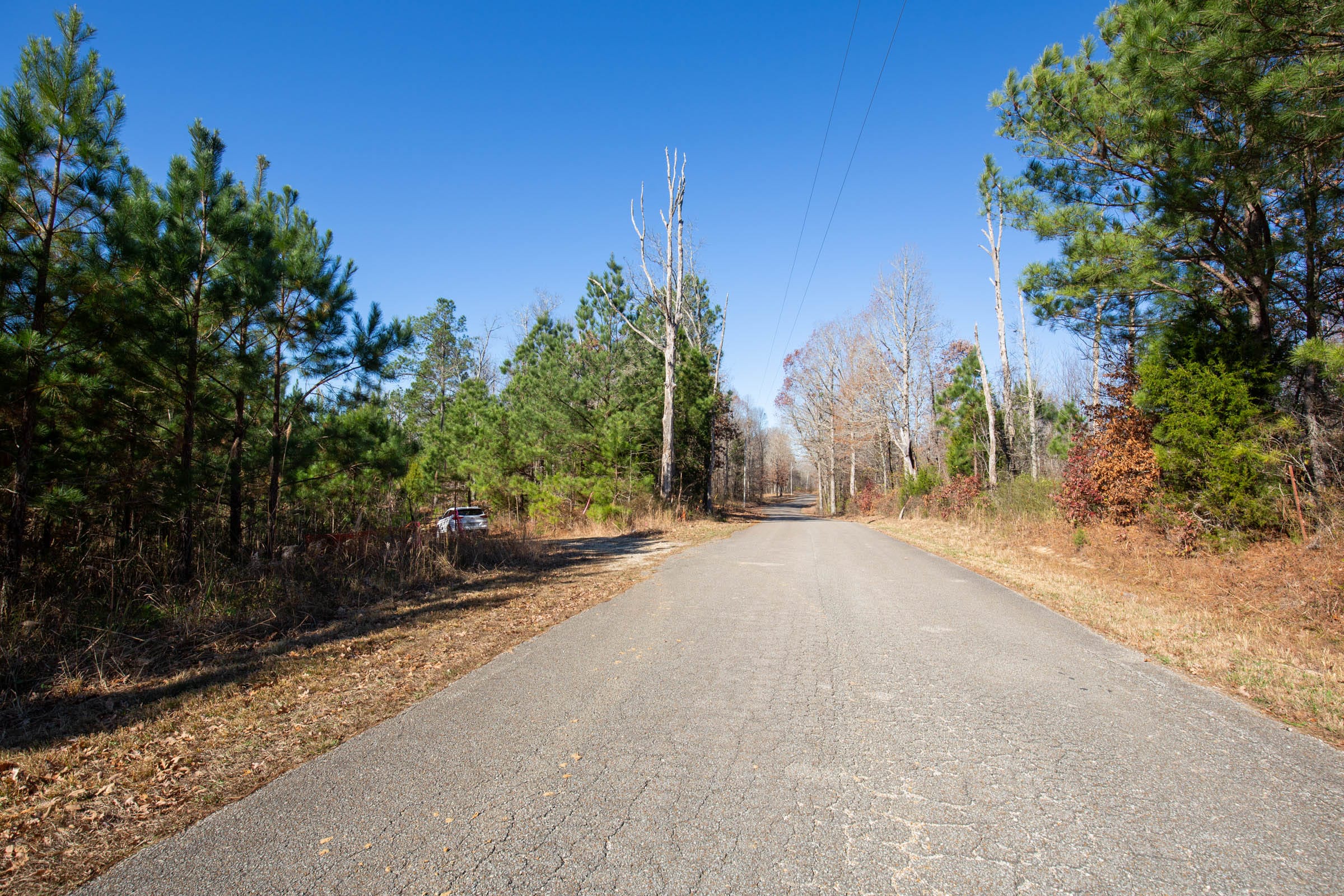 Pine Ridge Tract 3 photo 8