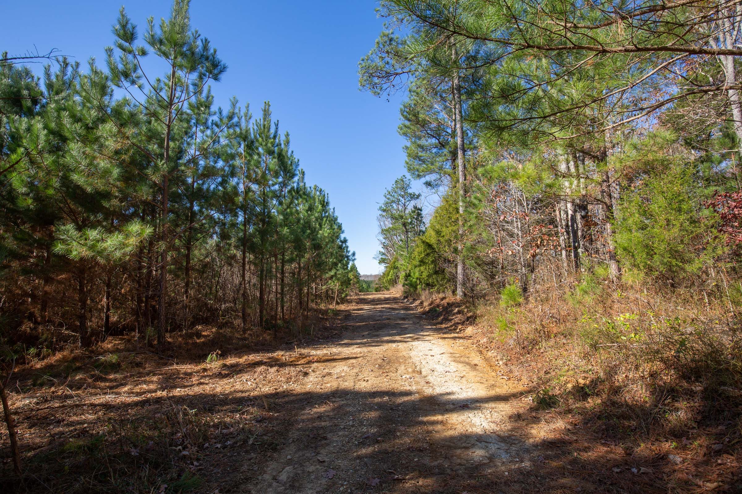 Pine Ridge Tract 3 photo 10