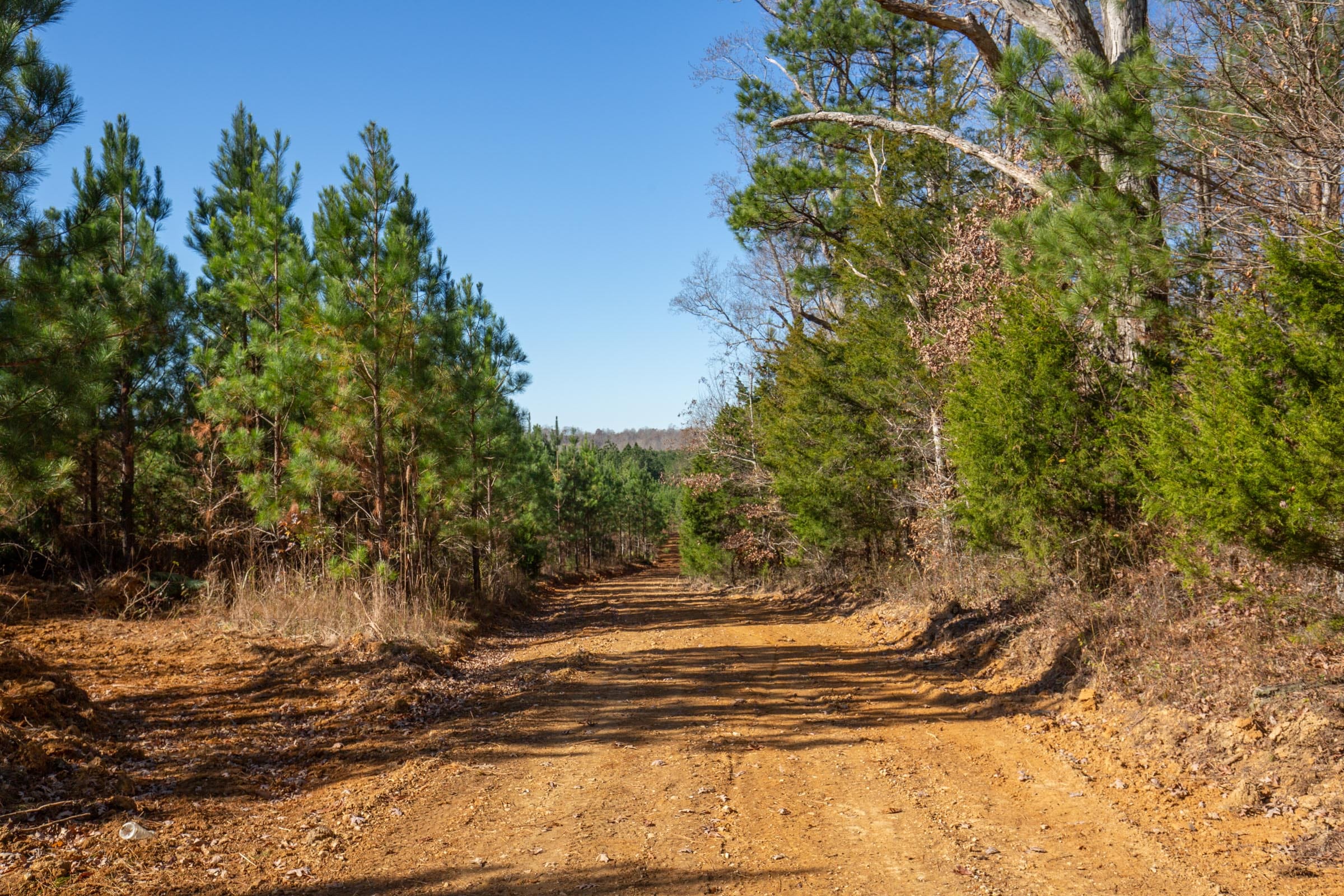 Pine Ridge Tract 3 photo 12
