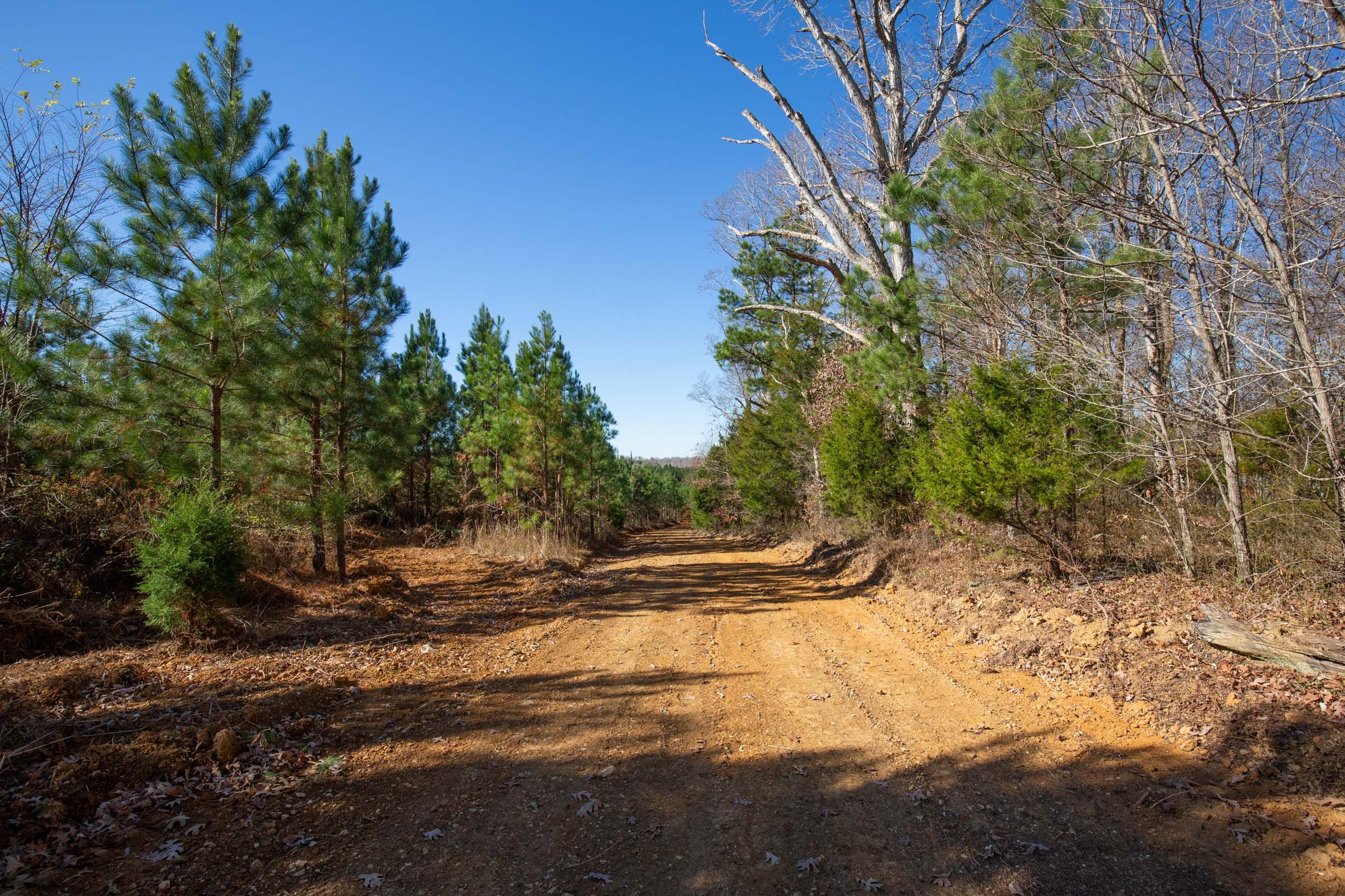 Pine Ridge Tract 3 photo 5