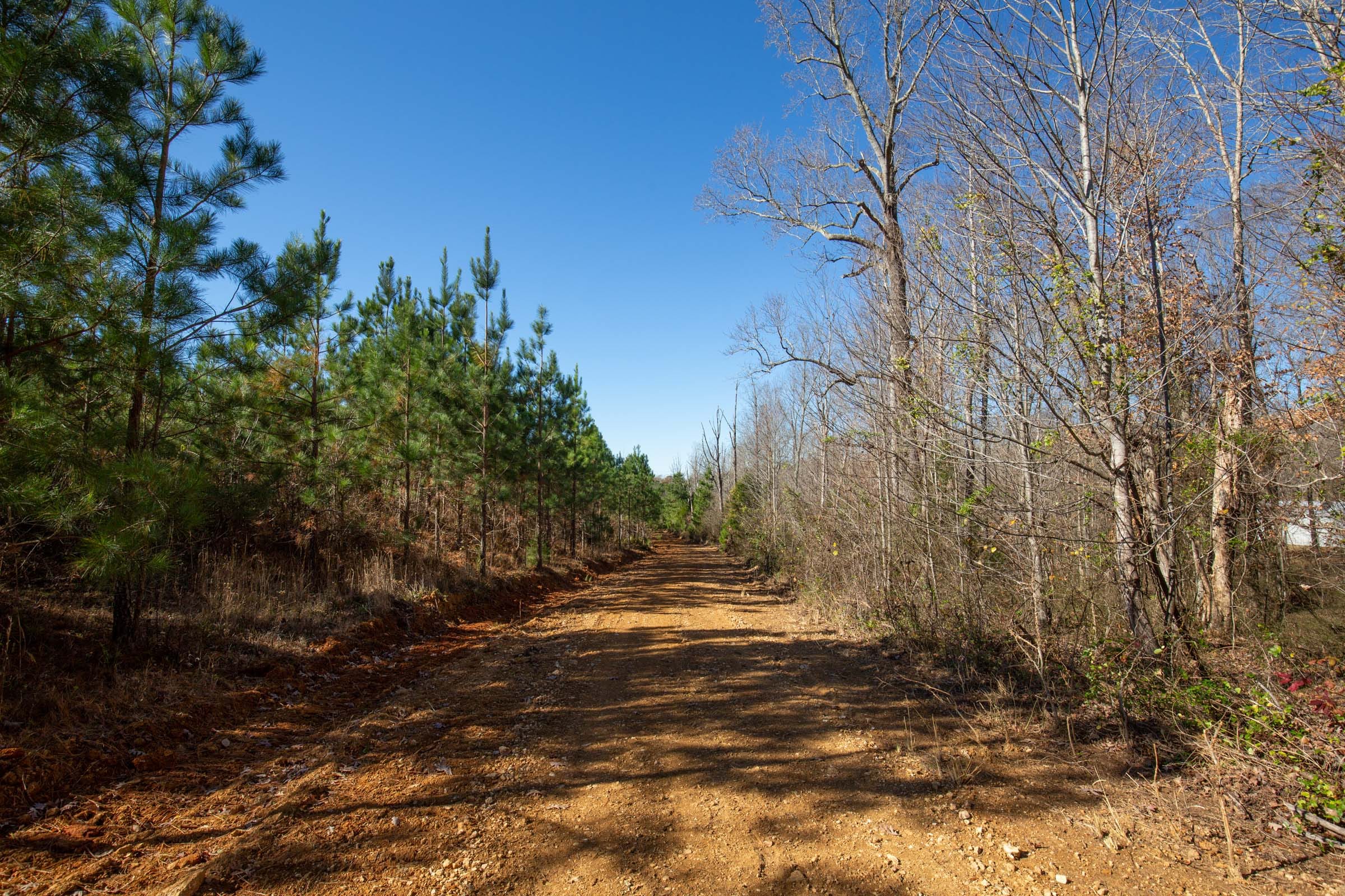 Pine Ridge Tract 3 photo 14