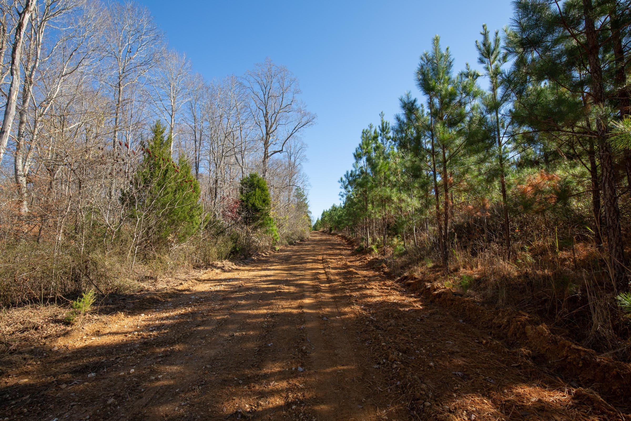 Pine Ridge Tract 3 photo 17