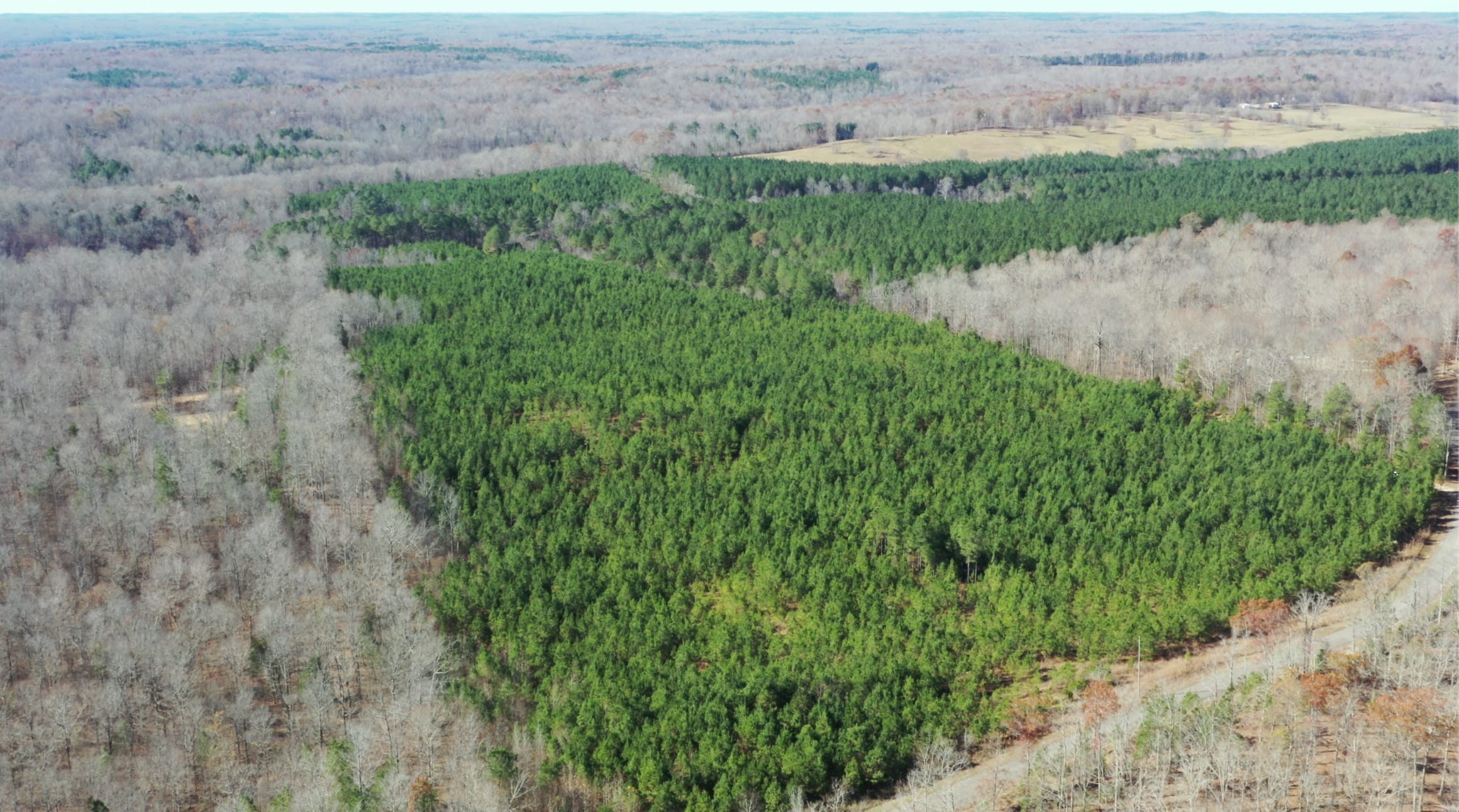 Pine Ridge Tract 3 photo 18