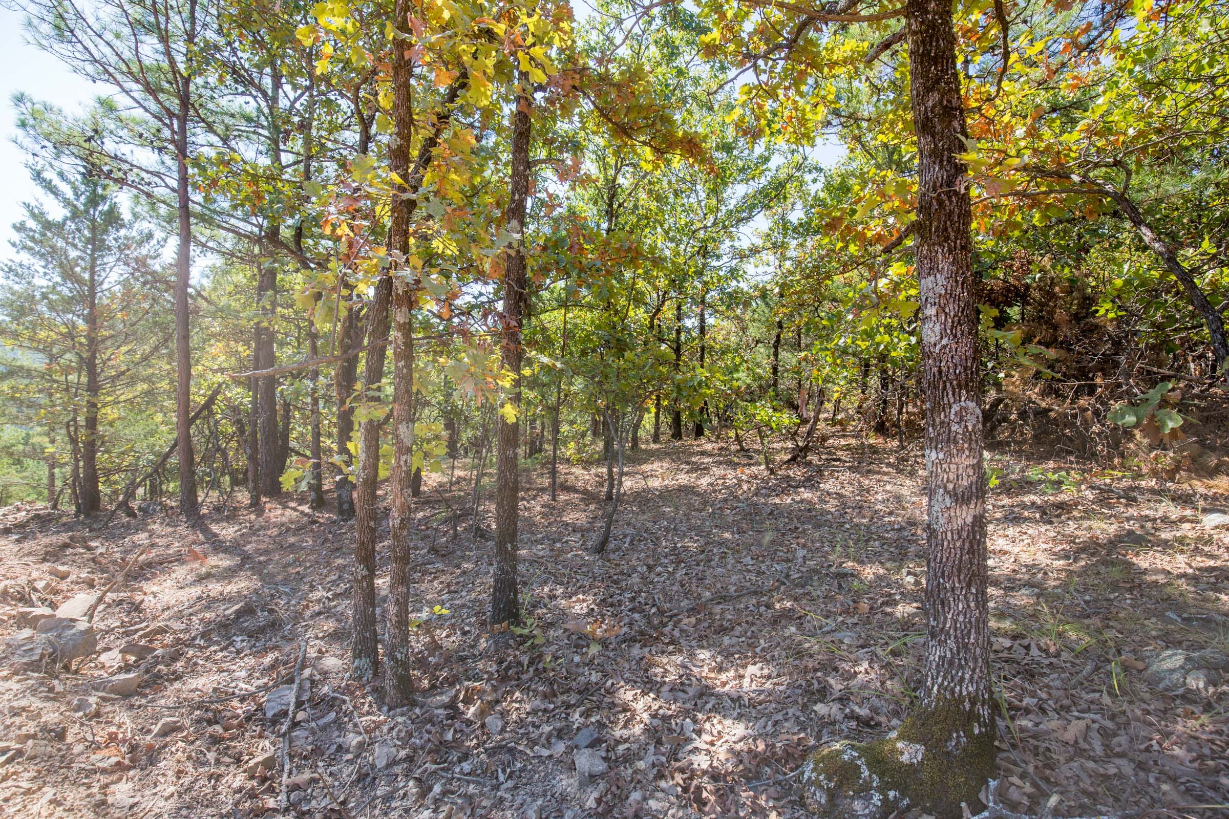 Stone Bridge Phase I Tract 61 photo 16