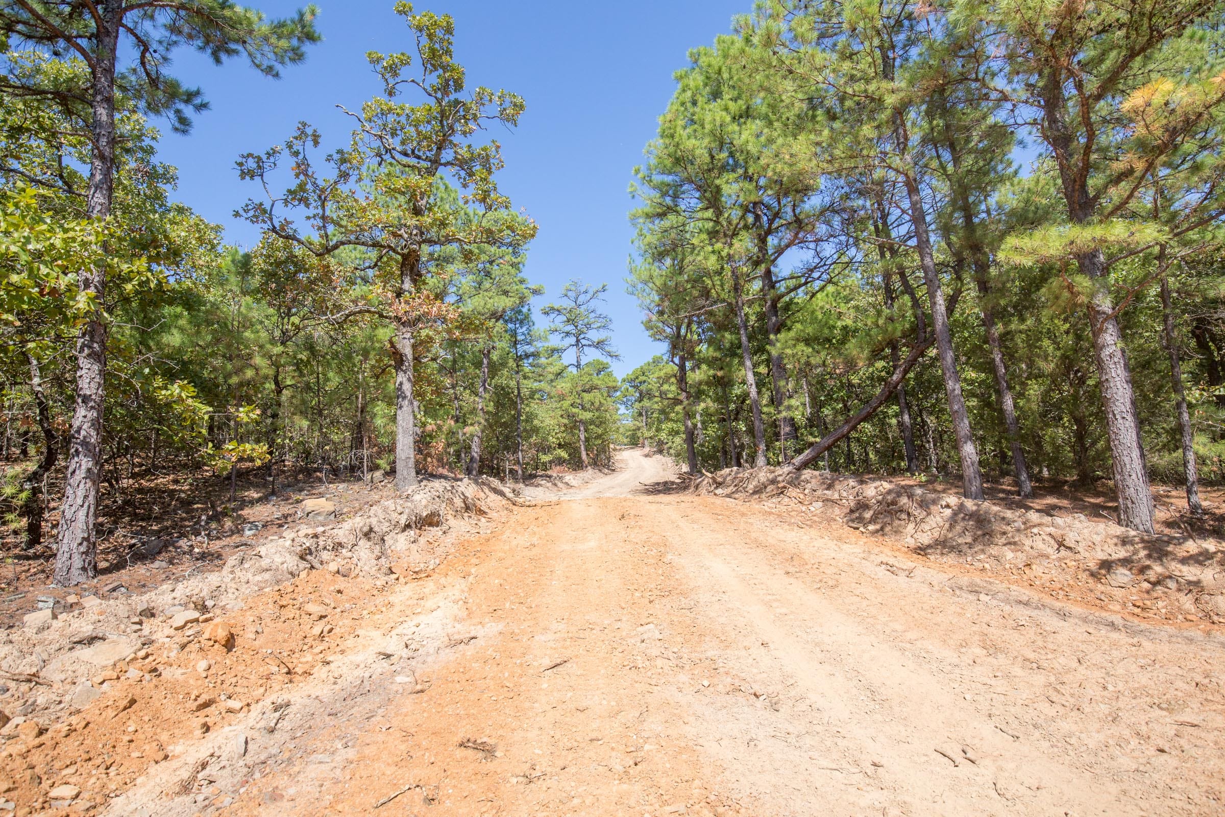 Stone Bridge Phase I Tract 61 photo 17