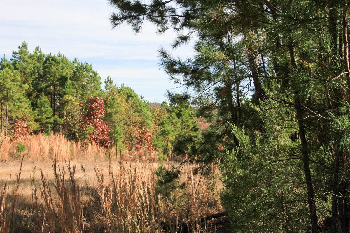 Stone Creek Phase III Tract 32 photo 3