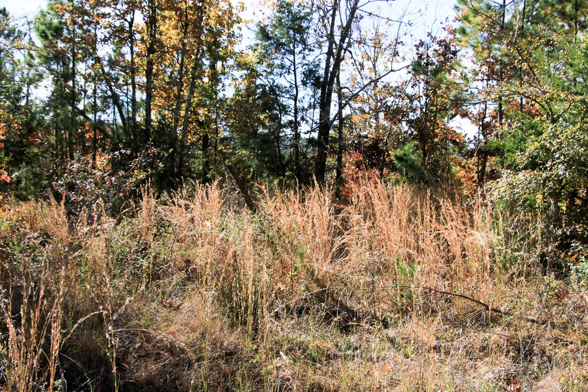 Stone Creek Phase III Tract 32 photo 6