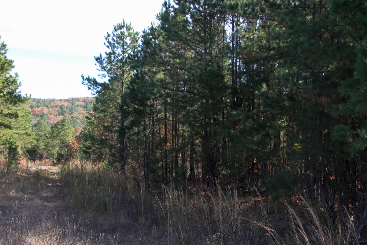 Stone Creek Phase III Tract 32 photo 8