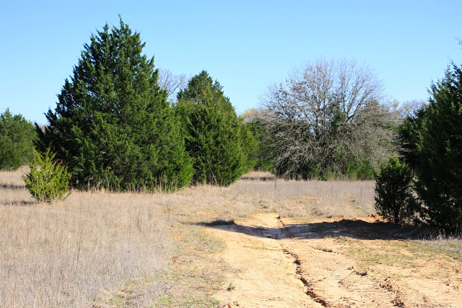 Montgomery Ranch Tract 16 photo 2