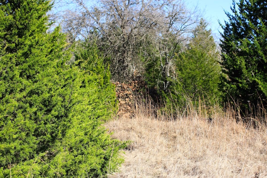 Montgomery Ranch Tract 16 photo 11