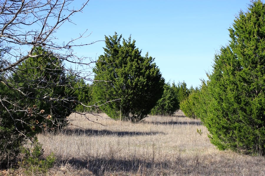 Montgomery Ranch Tract 16 photo 12