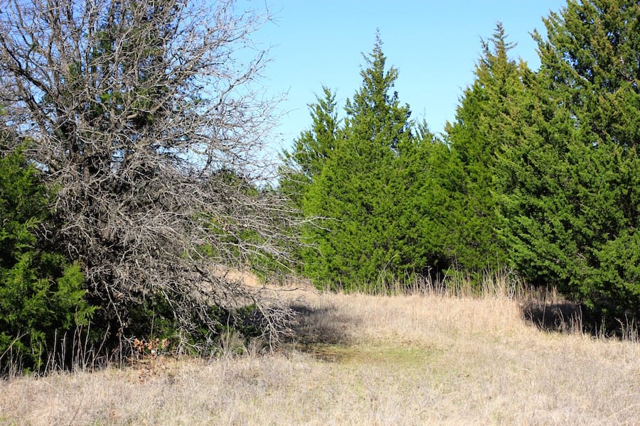 Montgomery Ranch Tract 16 photo 13