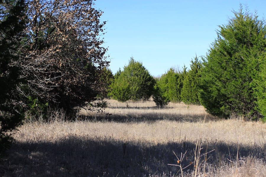 Montgomery Ranch Tract 16 photo 14