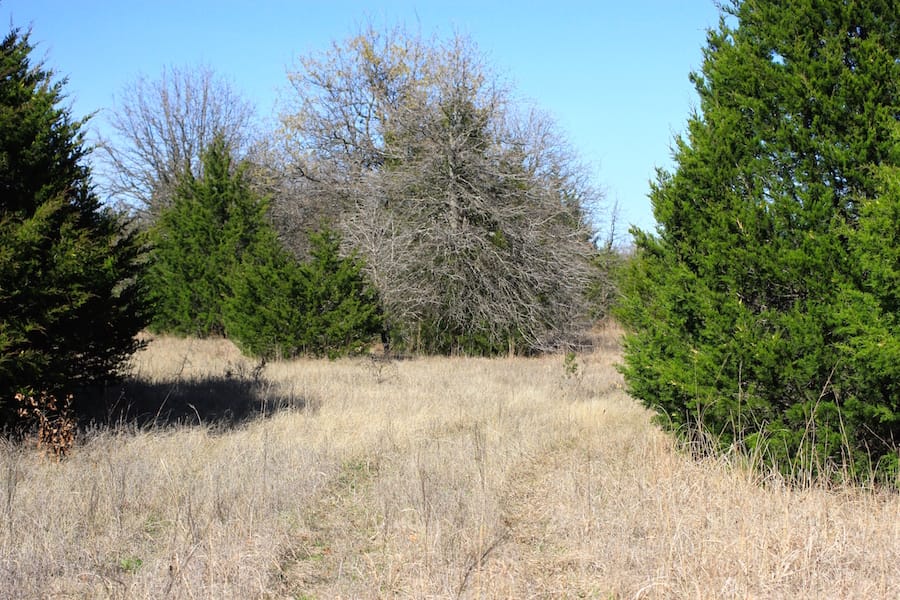 Montgomery Ranch Tract 16 photo 15