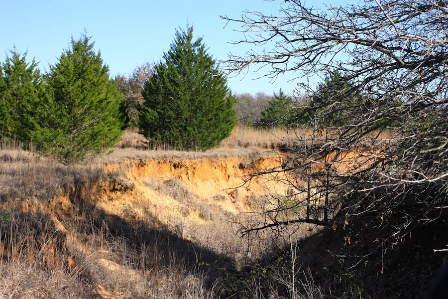 Montgomery Ranch Tract 16 photo 16
