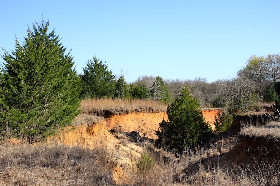 Montgomery Ranch Tract 16 photo 18