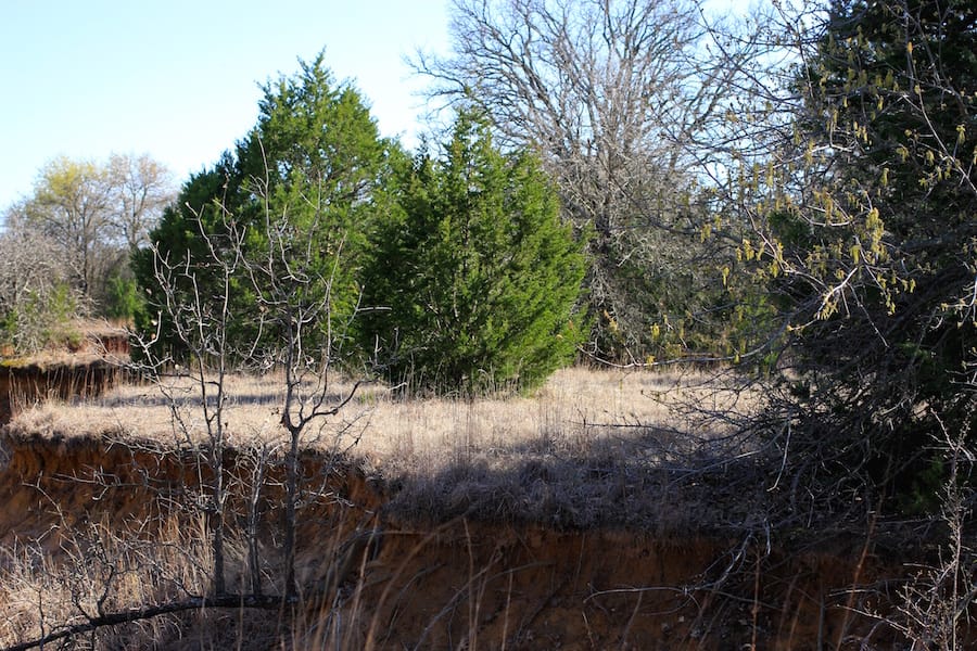 Montgomery Ranch Tract 16 photo 19