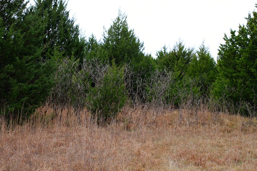 Montgomery Ranch Tract 16 photo 20