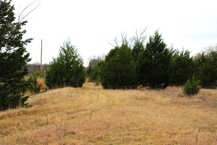 Montgomery Ranch Tract 16 photo 21
