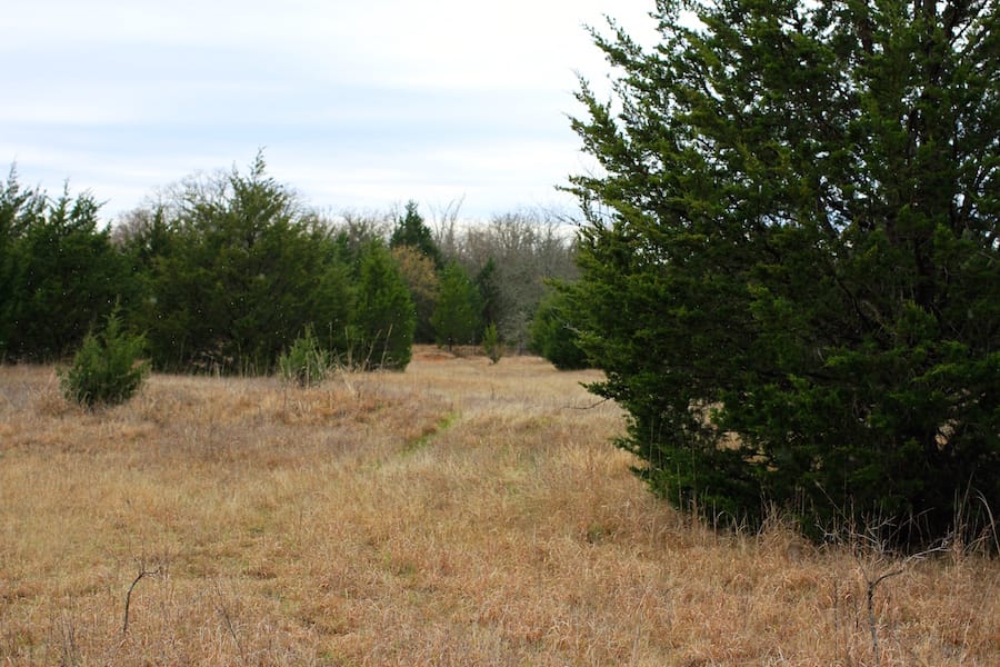 Montgomery Ranch Tract 16 photo 22