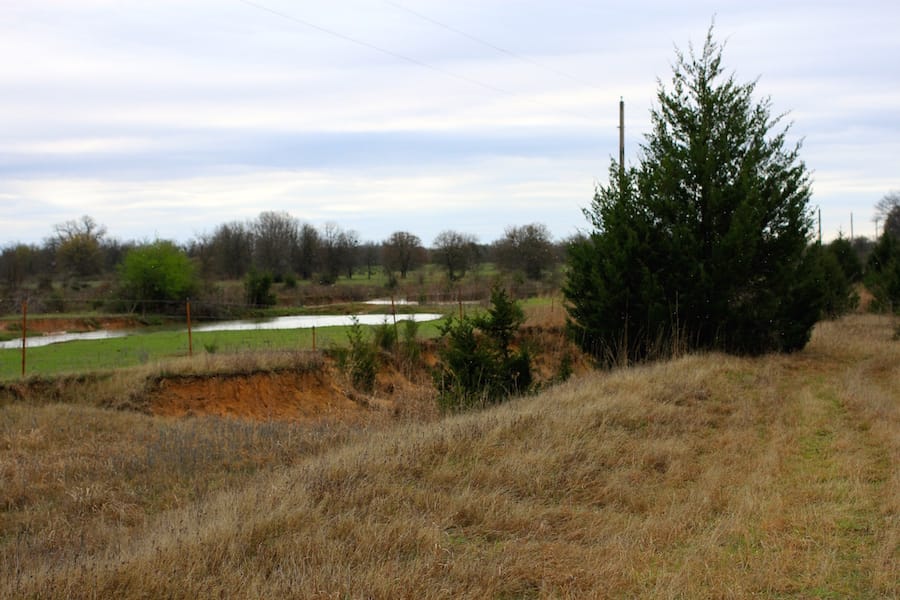 Montgomery Ranch Tract 16 photo 23