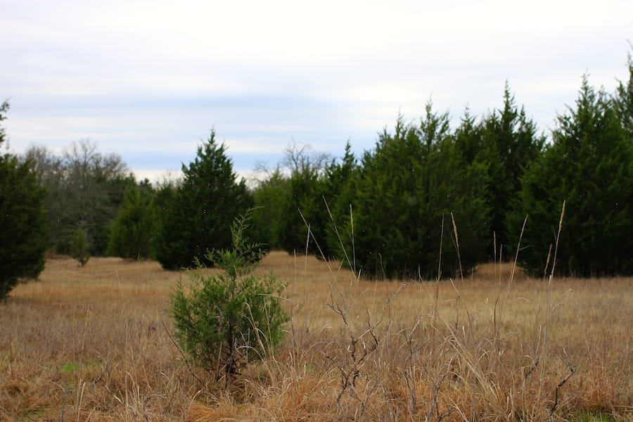 Montgomery Ranch Tract 16 photo 24